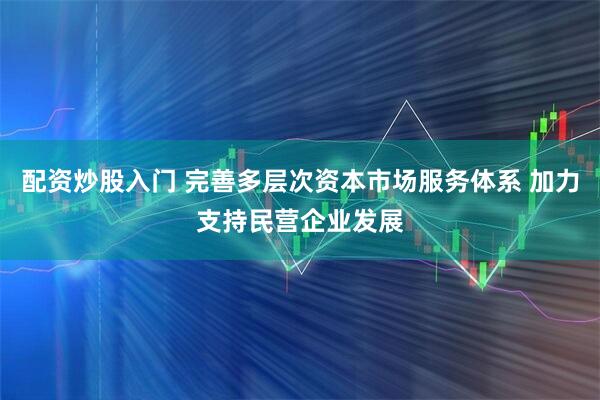 配资炒股入门 完善多层次资本市场服务体系 加力支持民营企业发展