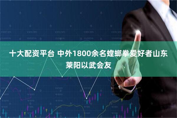 十大配资平台 中外1800余名螳螂拳爱好者山东莱阳以武会友